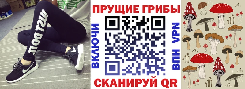 ссылка на мегу Сурск Галлюциногенные грибы мицелий